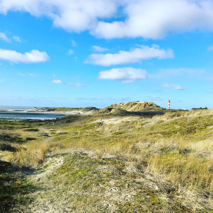 Paddle - Vue Mer - 100M Plage Berck Экстерьер фото