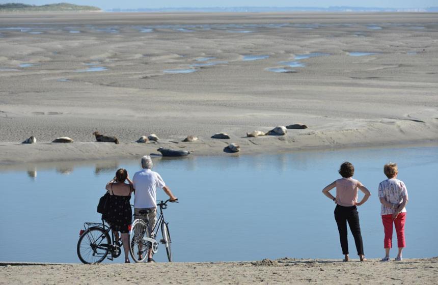 Paddle - Vue Mer - 100M Plage Berck Экстерьер фото