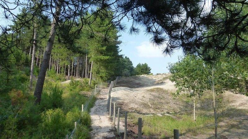 Paddle - Vue Mer - 100M Plage Berck Экстерьер фото
